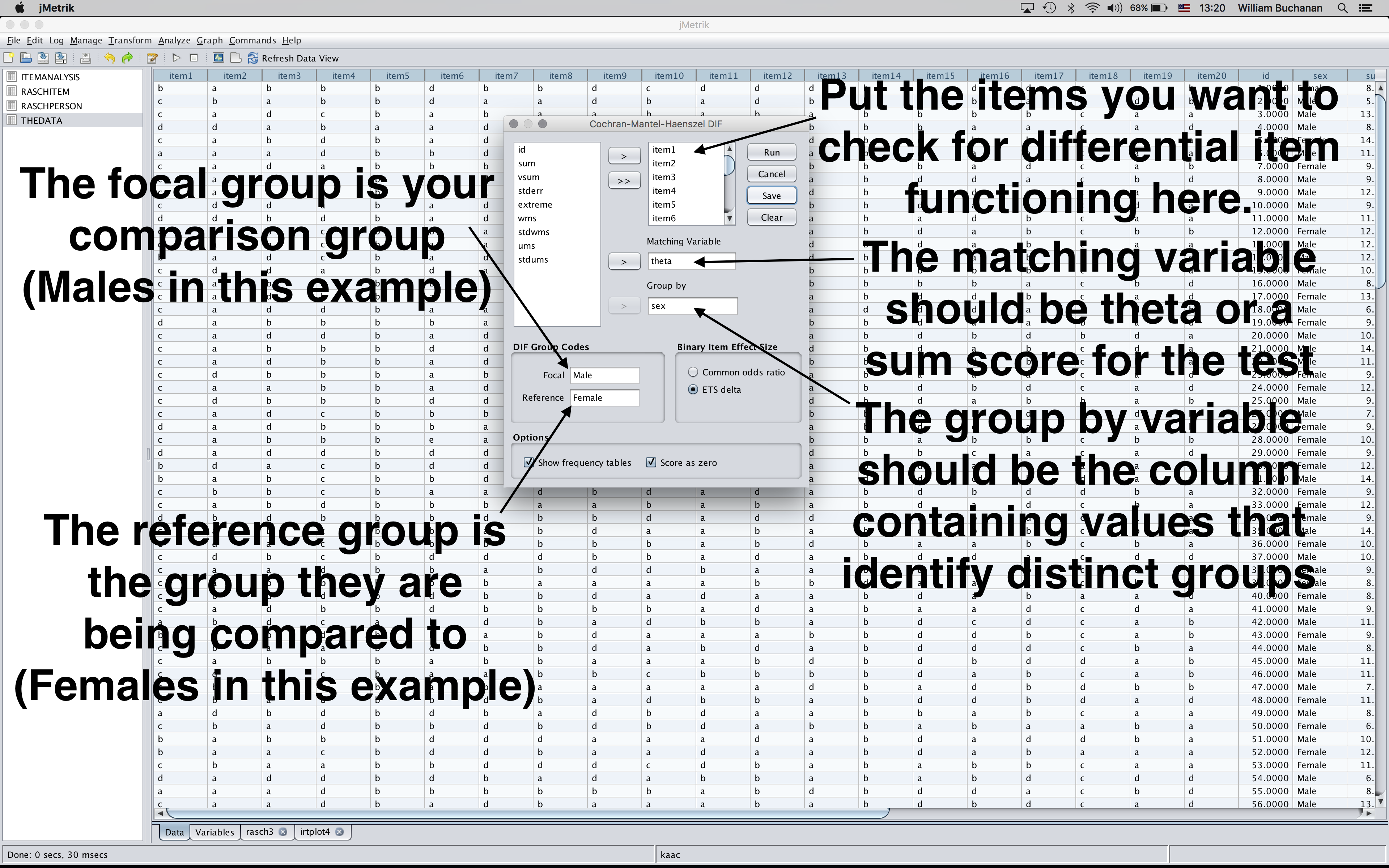 Shows annotated set up for DIF analysis