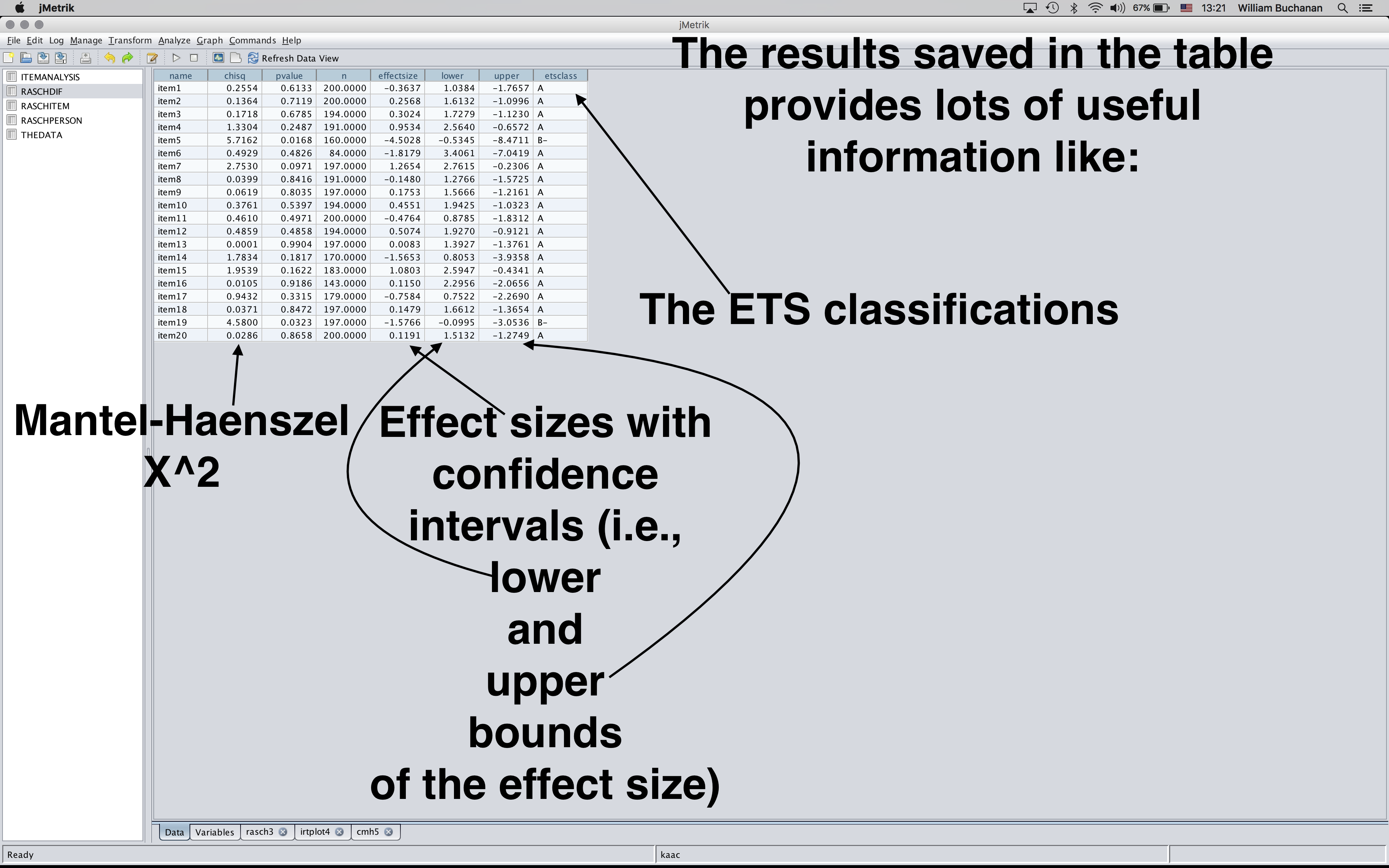 Differential Item Function Results table annotated