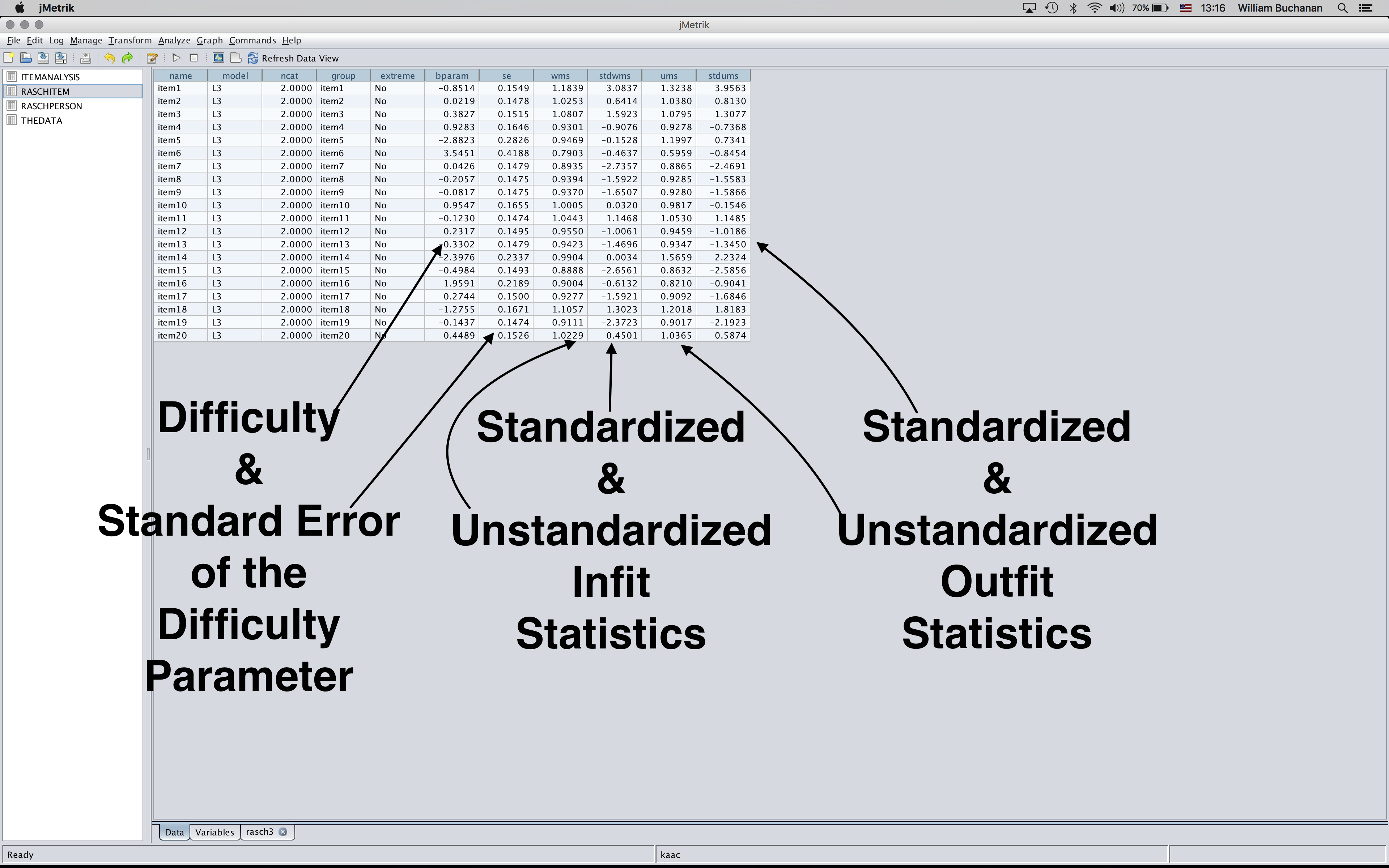 Shows annotations for the table where the results are stored related to the item parameter estimates