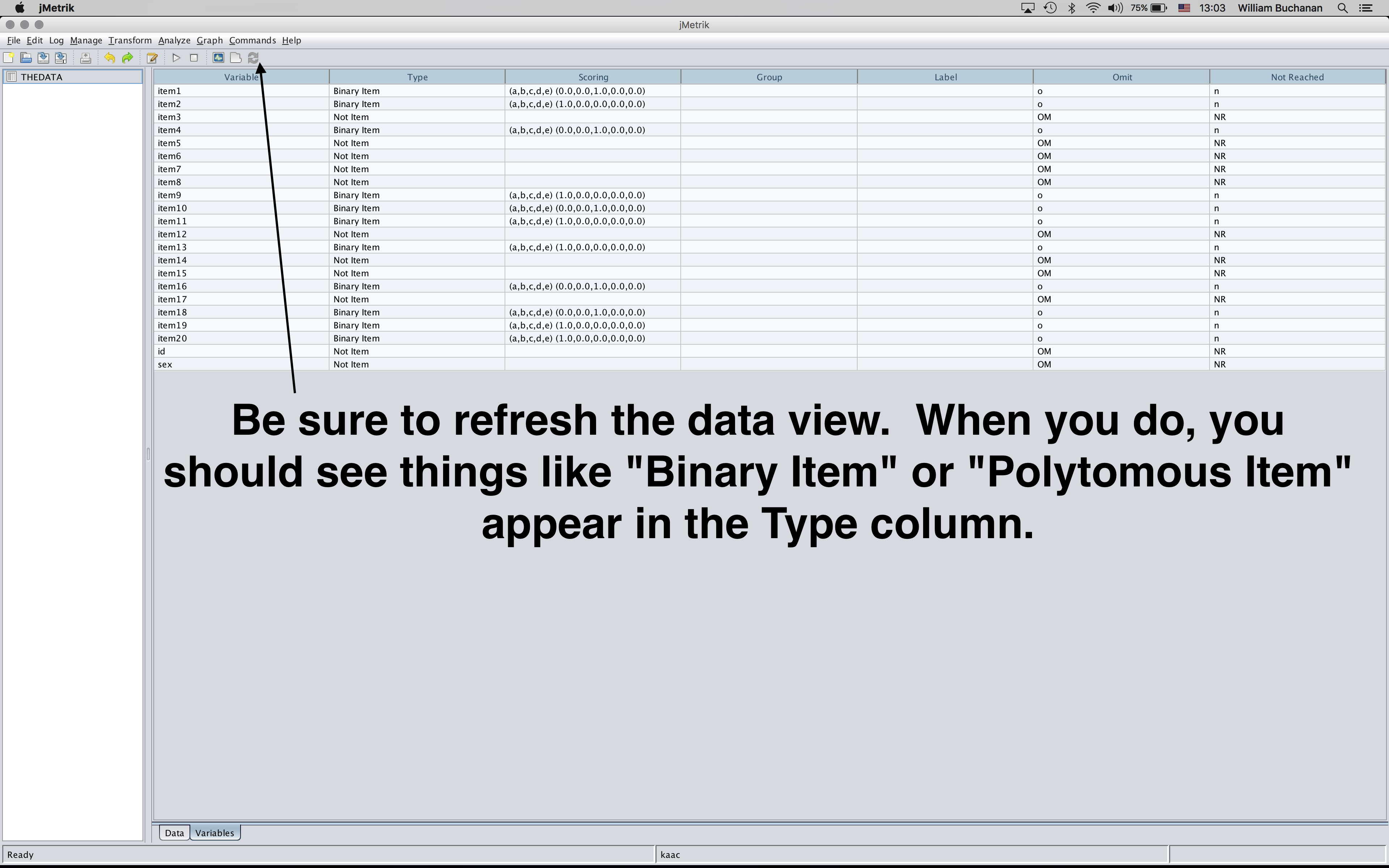 Shows variable view after refreshing the view to confirm columns are registered as item types