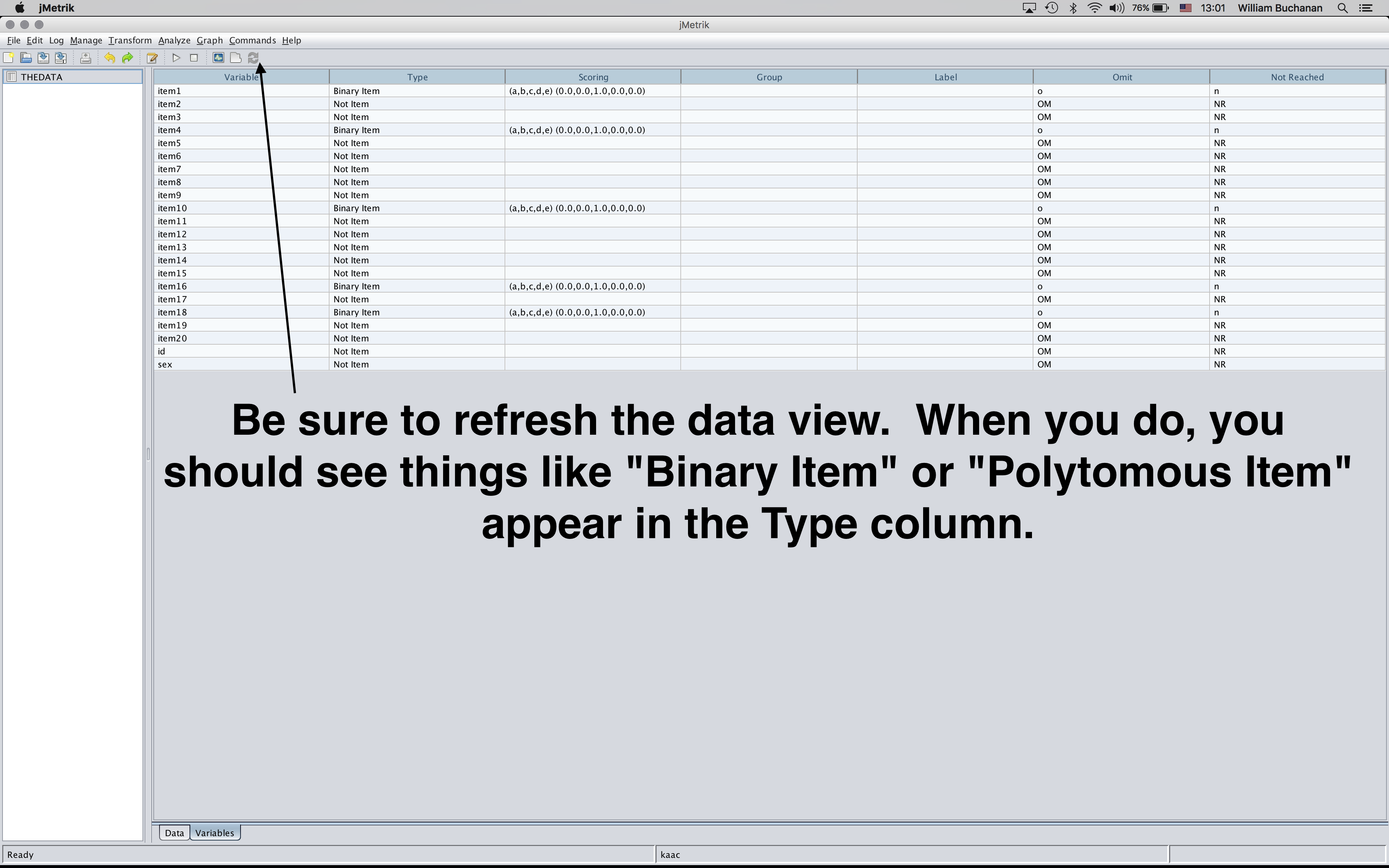 Shows variable view after refreshing the view to confirm columns are registered as item types
