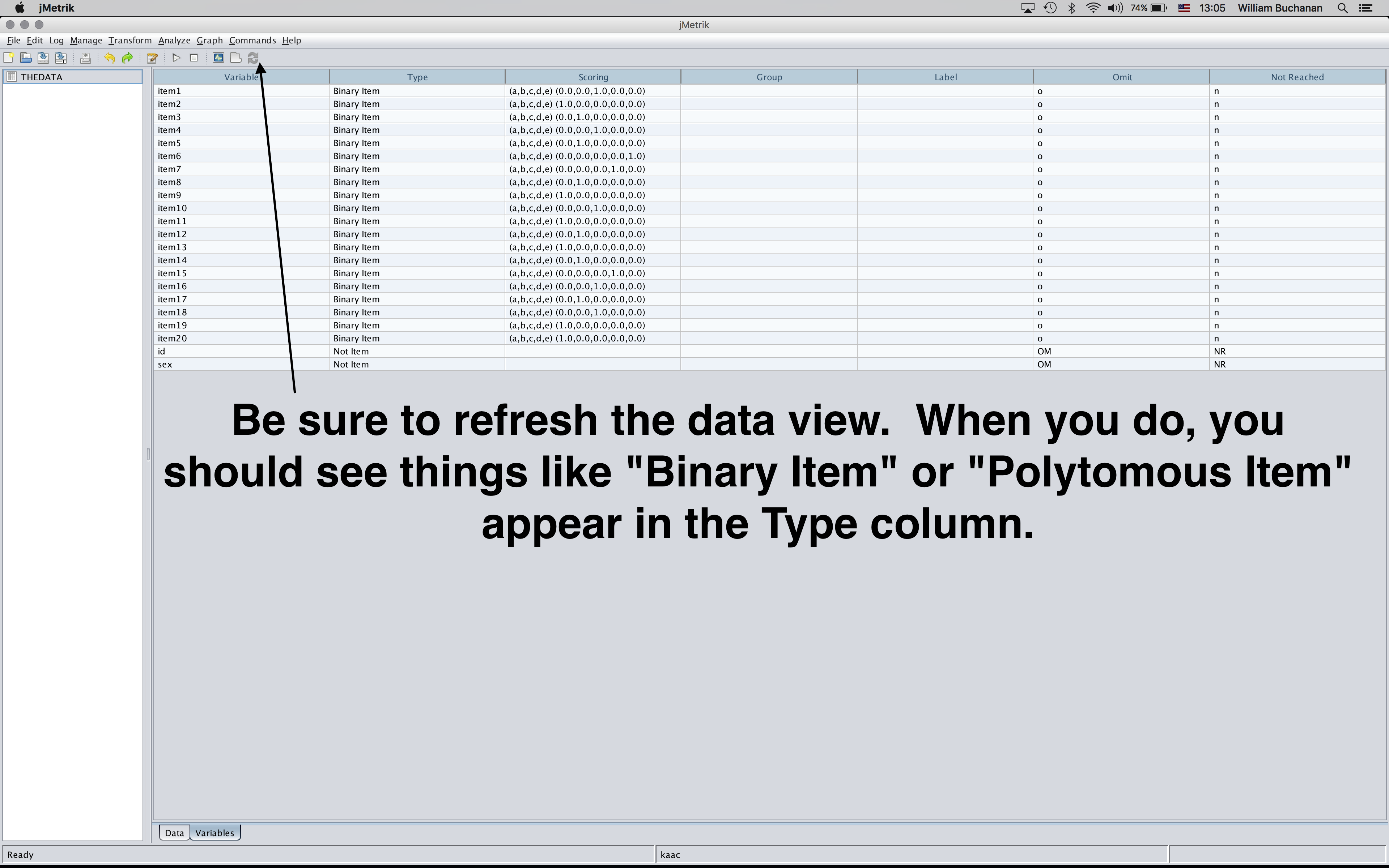 Shows variable view after refreshing the view to confirm columns are registered as item types