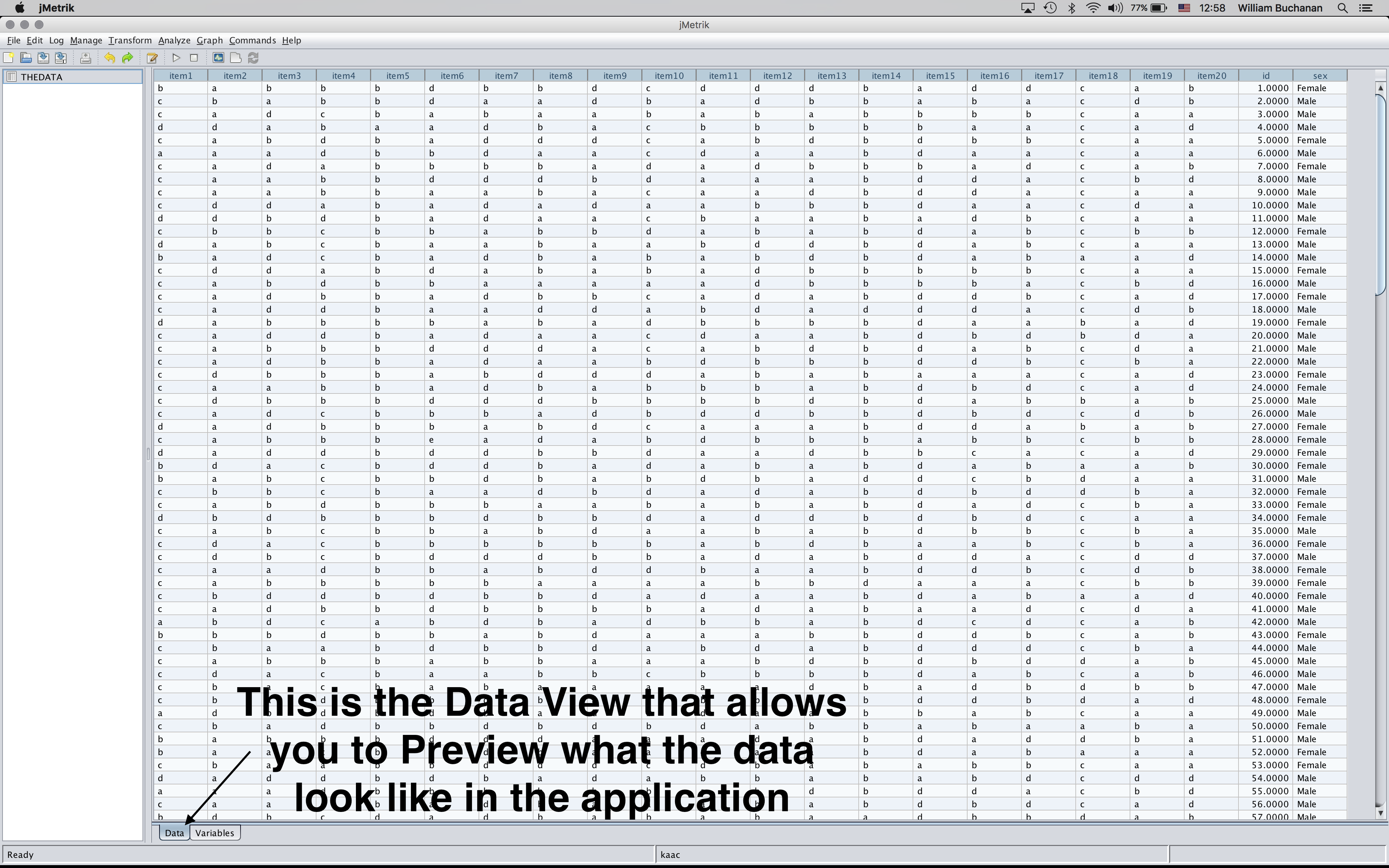 Shows a preview of the data loaded into jMetrik