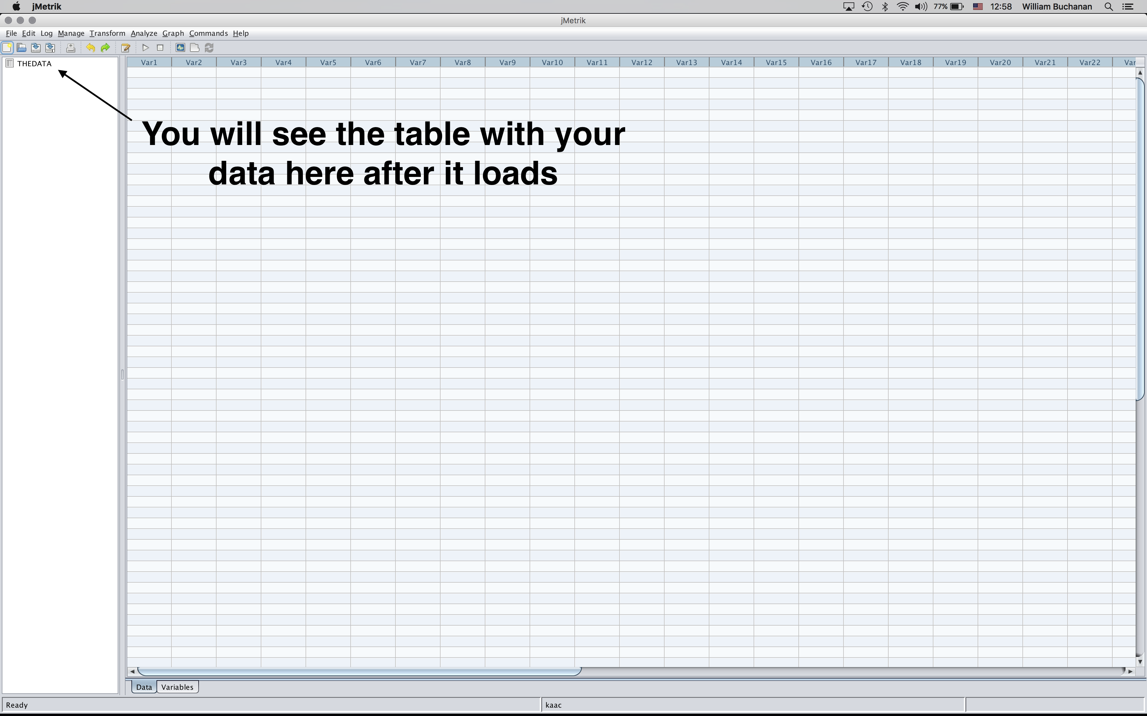 Shows the change in the GUI after a file is loaded
