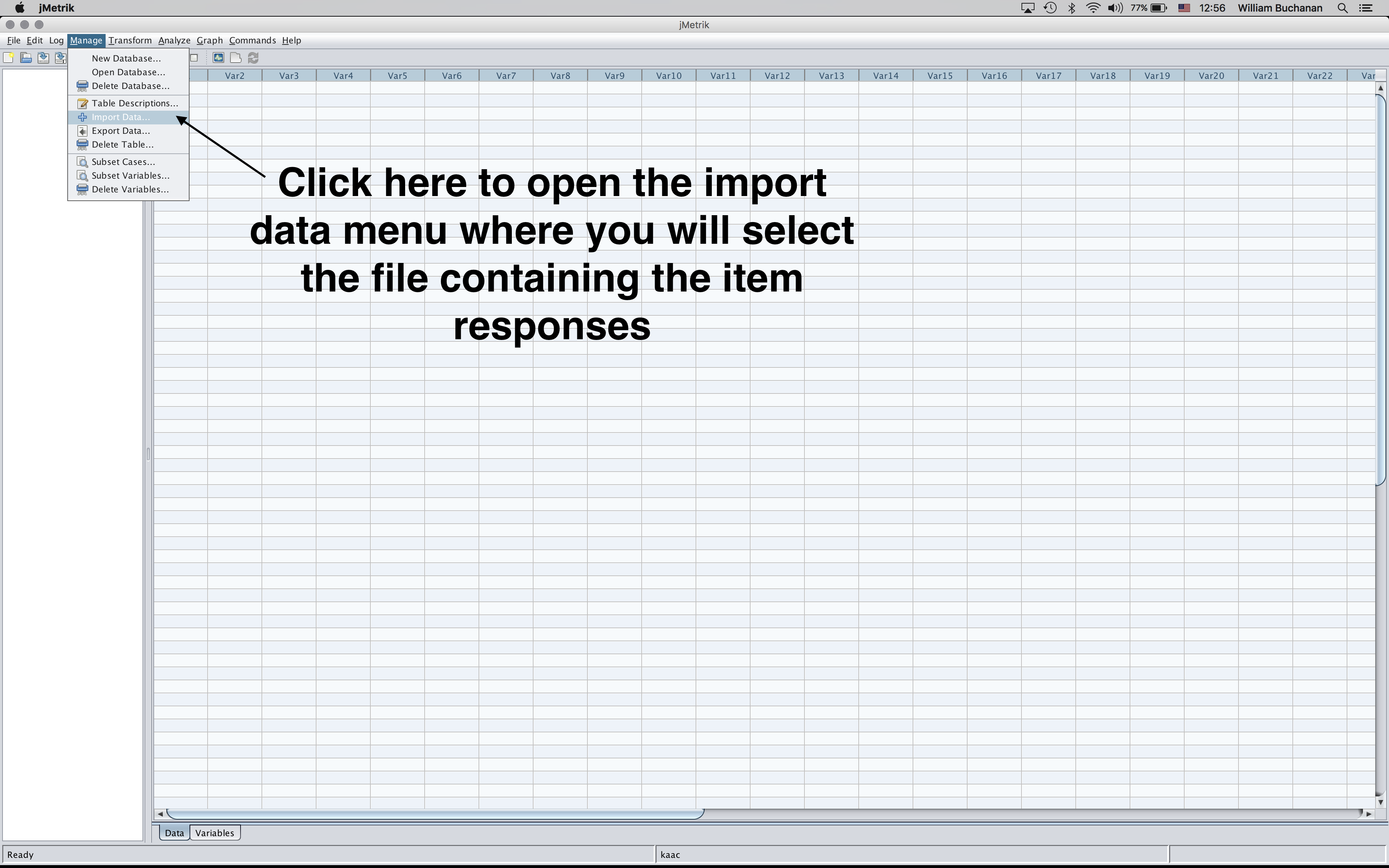 Menu item used to launch the file import dialog