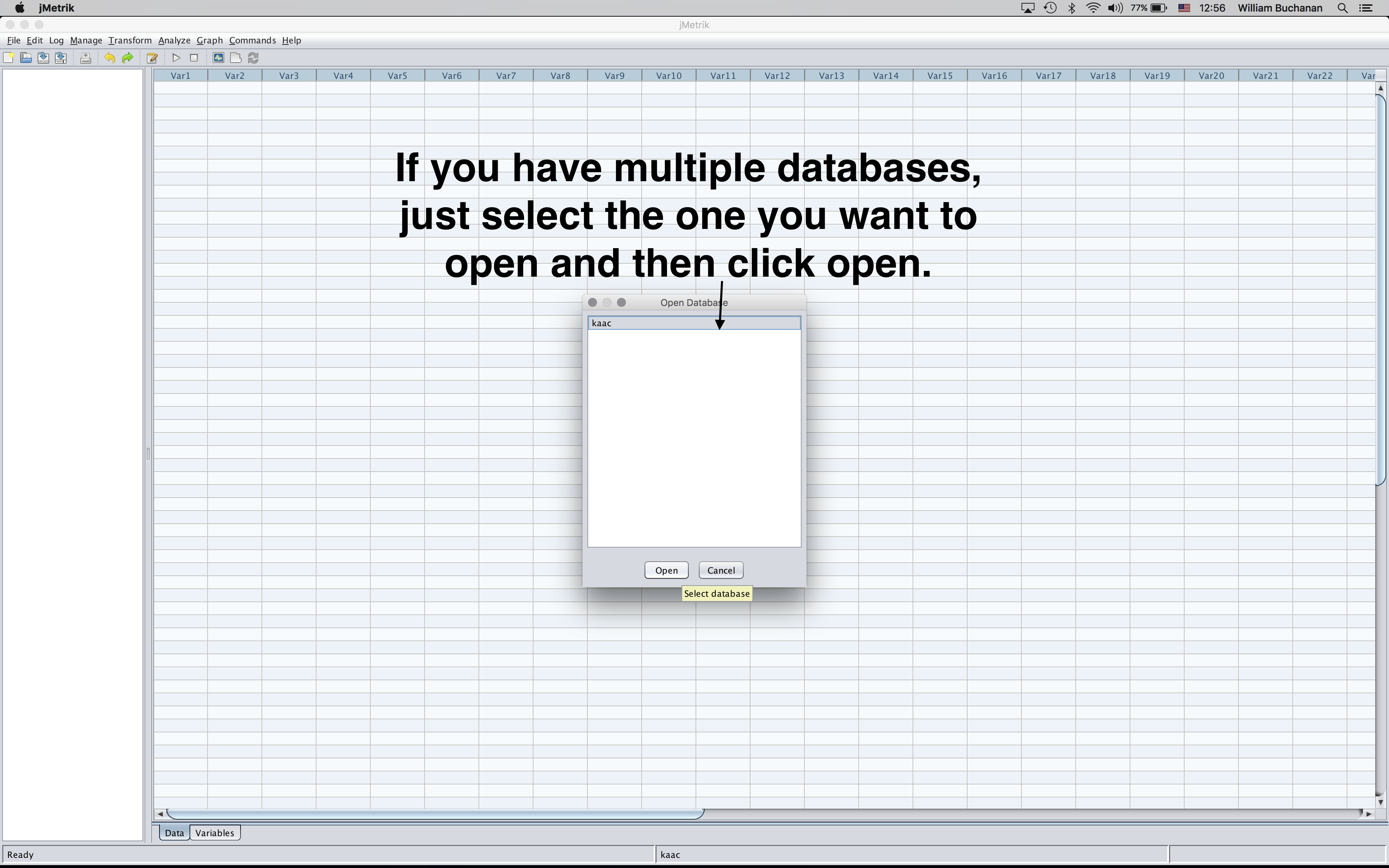Shows dialog where users select which database to open