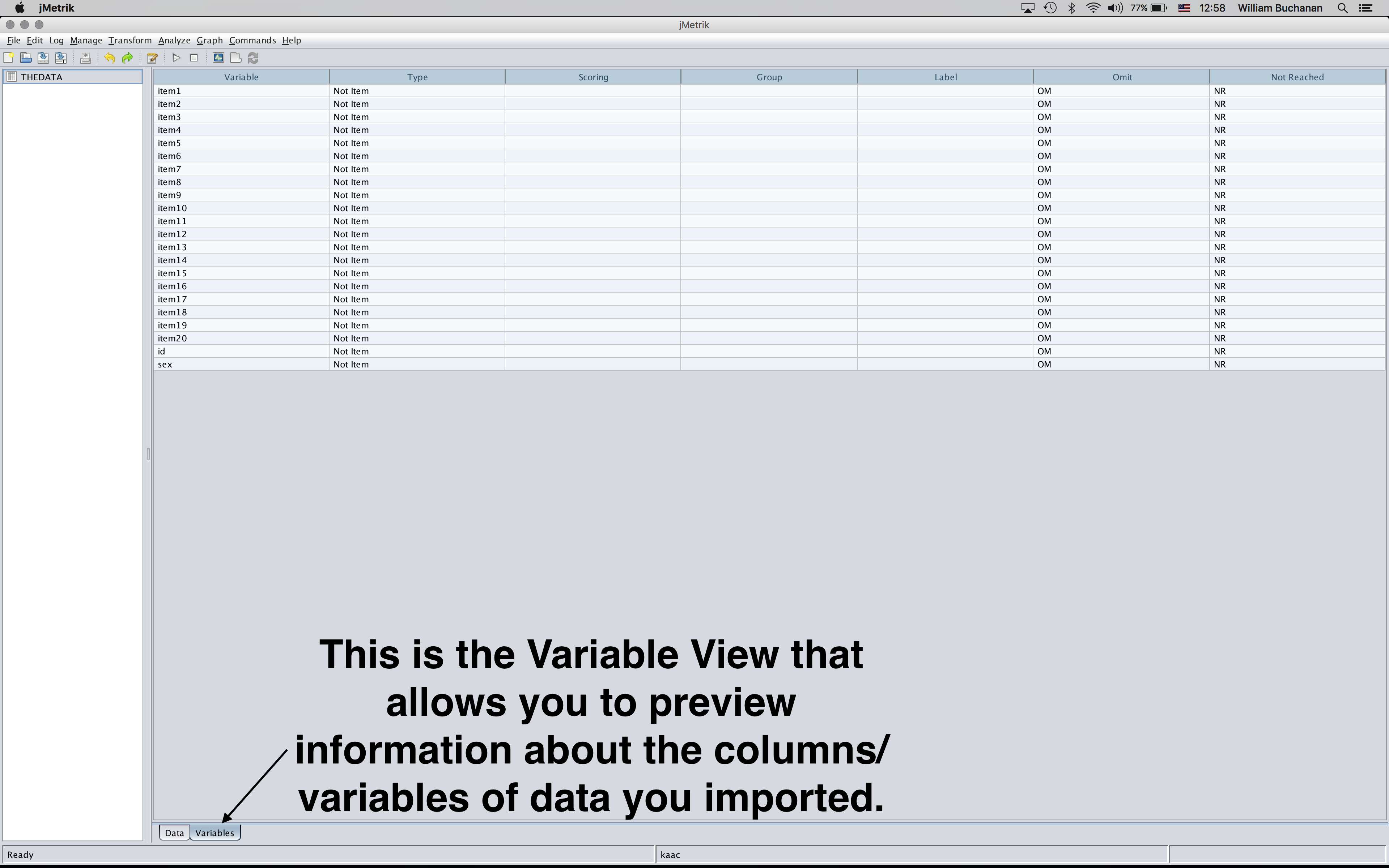 Shows the variable view option to view the data